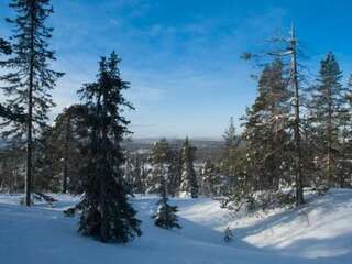 Дома для отпуска Holiday Home Ylläsmaisema 1 Юллясярви Дом для отпуска-36